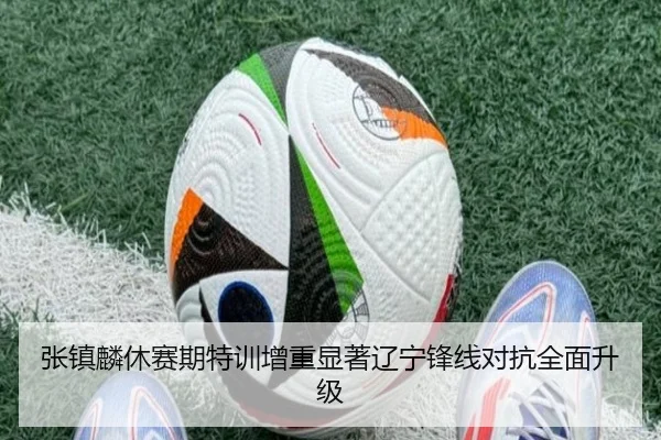 张镇麟休赛期特训增重显著辽宁锋线对抗全面升级